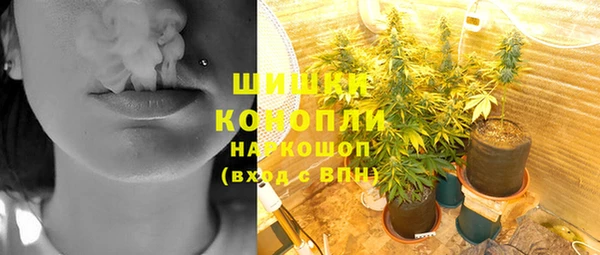 СК Мурманск