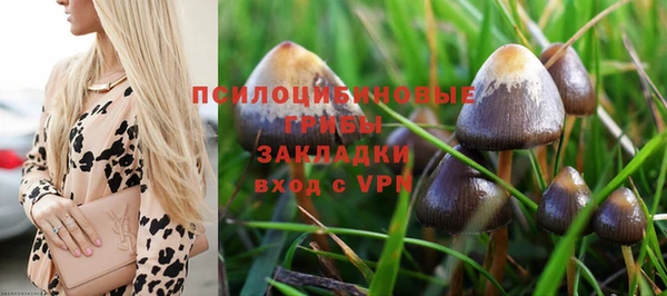 марки nbome Лабытнанги